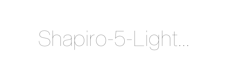 Shapiro-5-Light-Fly